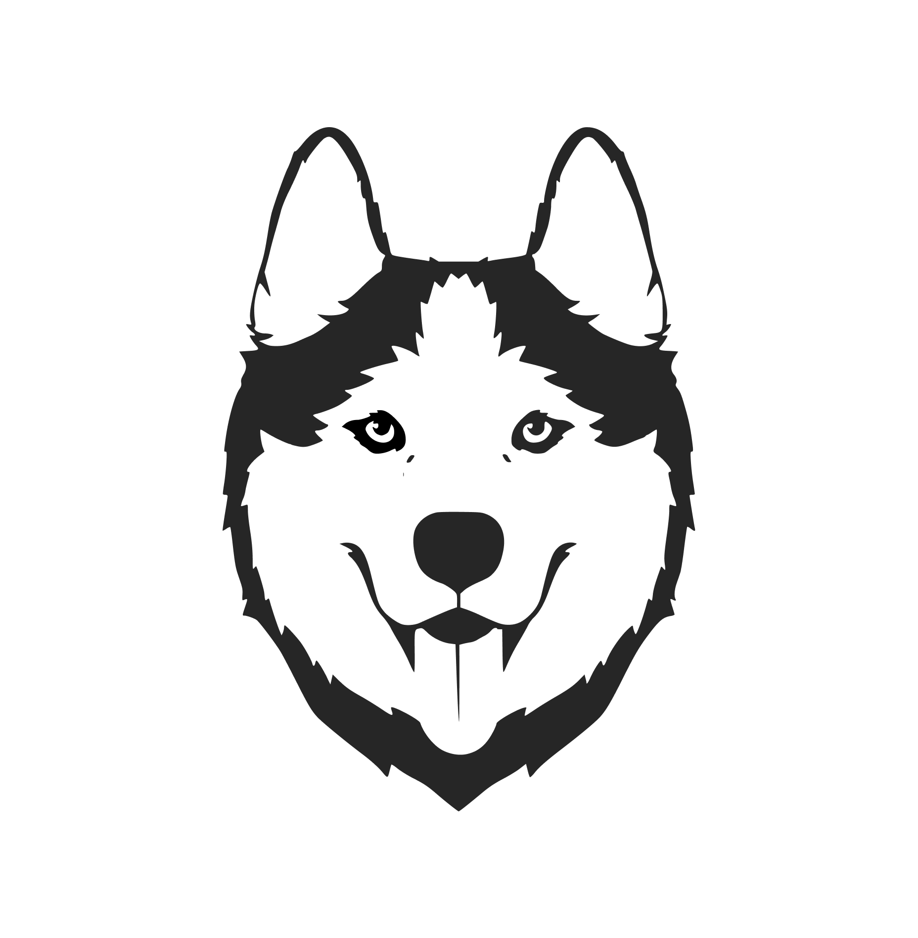 Husky by Anmol Bhatt